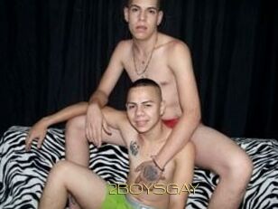 2BOYS_GAY