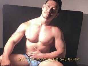 ANTHONYSUBCHUBBY
