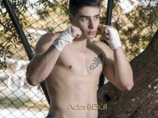 AdamBull