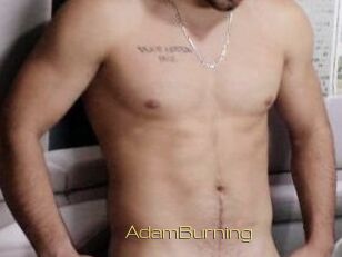 AdamBurning