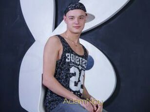 AdamNoy