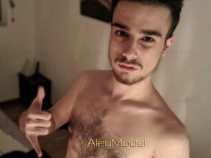 AleyModel