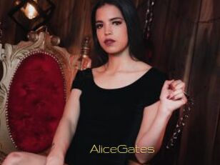 AliceGates