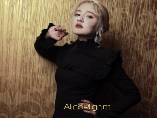 AlicePilgrim Super Cul