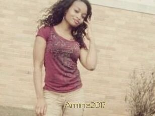 Amina2017
