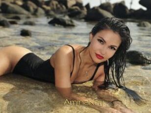 AminaKey