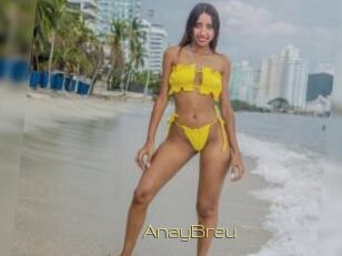 AnayBreu