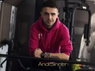 AndiSinner