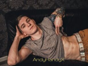 AndyHandyX