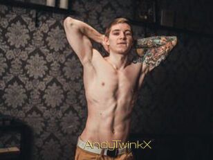AndyTwinkX