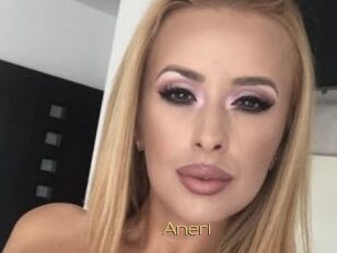 Aneri