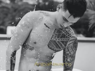 AnibalNavarro