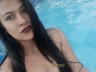 AnyMeel