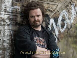 Arachnis_Chiropterus