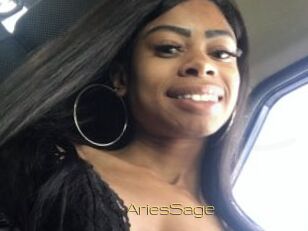 AriesSage