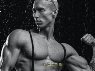 Adonis_