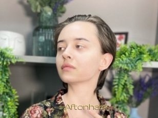 Aftonhase