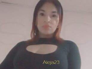 Aleja23