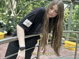 Alicebagger