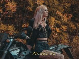 Aliceegray