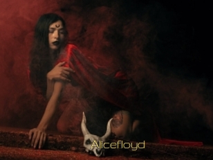 Alicefloyd