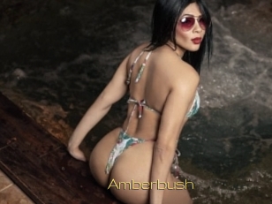 amberbush Super Cul