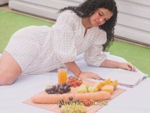 Amellierouse