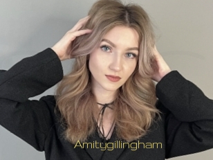 Amitygillingham