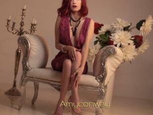Amyconway