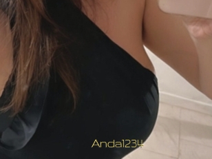 Anda1234