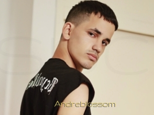 Andreblossom