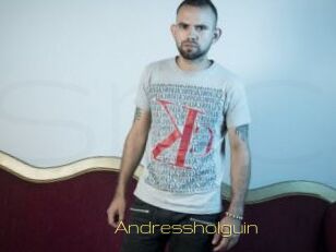 Andressholguin