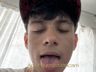 Andreyestebancam