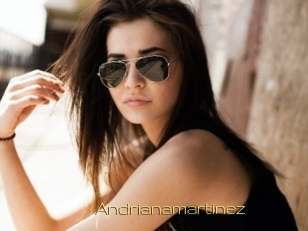 Andrianamartinez