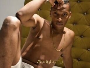 Andybony