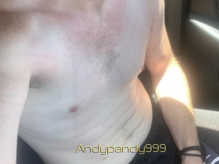 Andypandy999