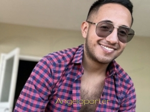 Angeloporter
