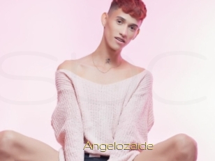 Angelozaide