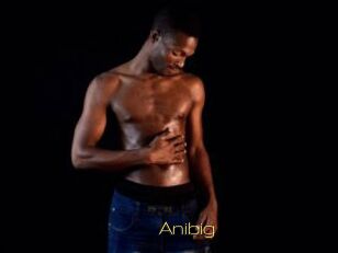 Anibig