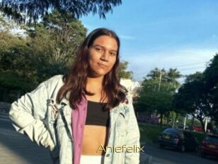 Aniefelix