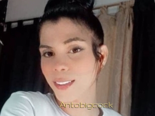 Antobigcock