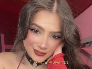 Antonelawildd