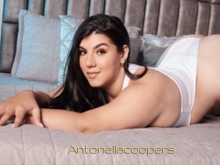 Antonellacoopers