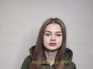 Antoniacordner