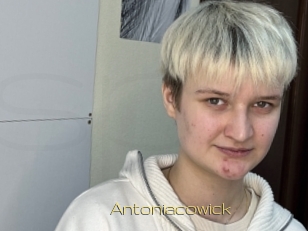 Antoniacowick