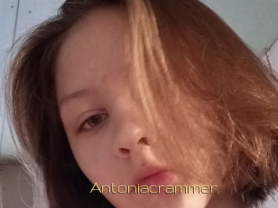 Antoniacrammer