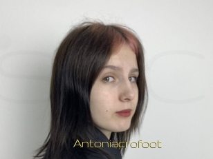 Antoniacrofoot
