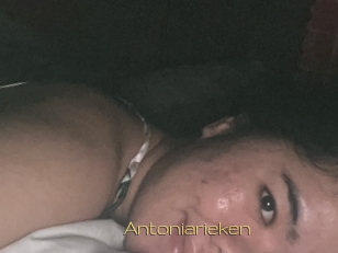 Antoniarieken