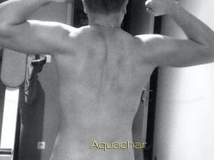 Aquachar