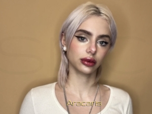 Aracaris